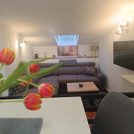 Adria Pearl Appartments Vrsar Kültér fotó