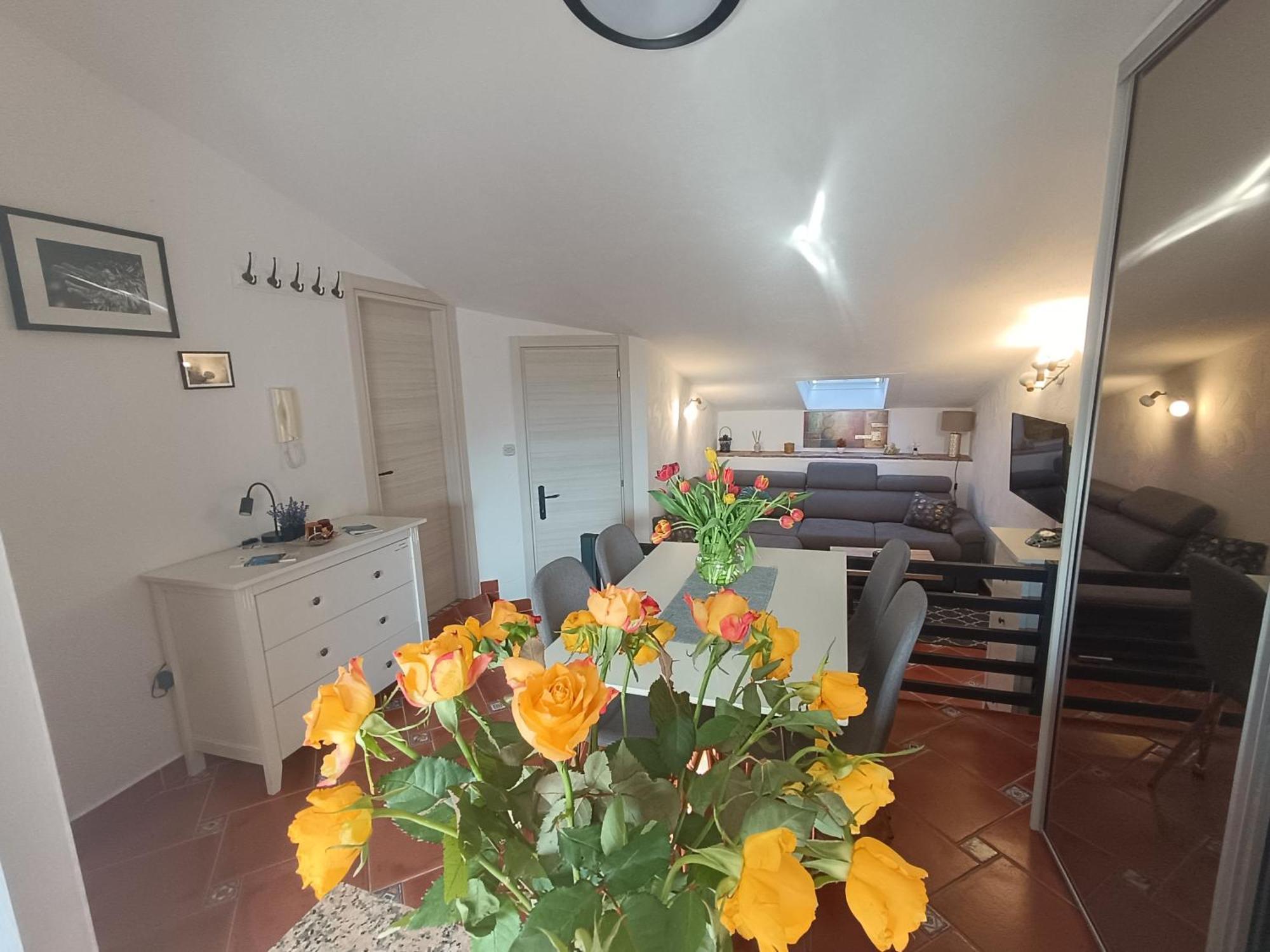 Adria Pearl Appartments Vrsar Kültér fotó