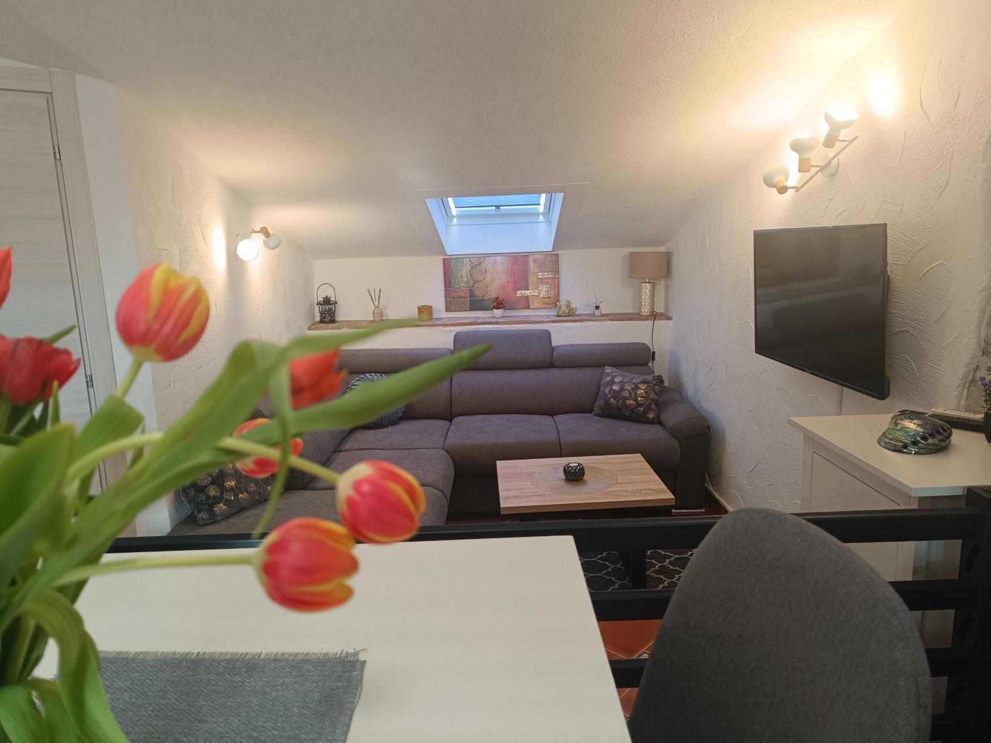 Adria Pearl Appartments Vrsar Kültér fotó