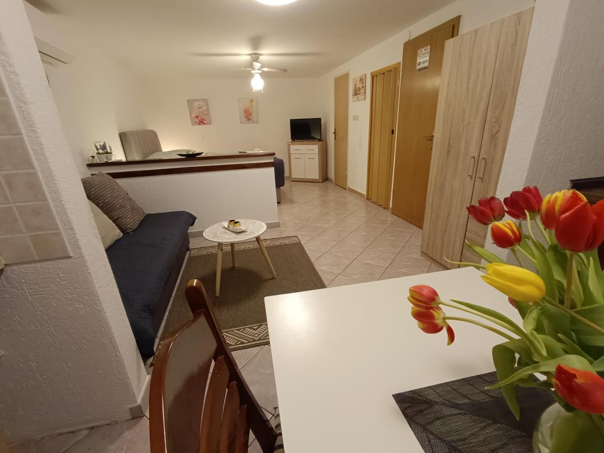 Adria Pearl Appartments Vrsar Kültér fotó